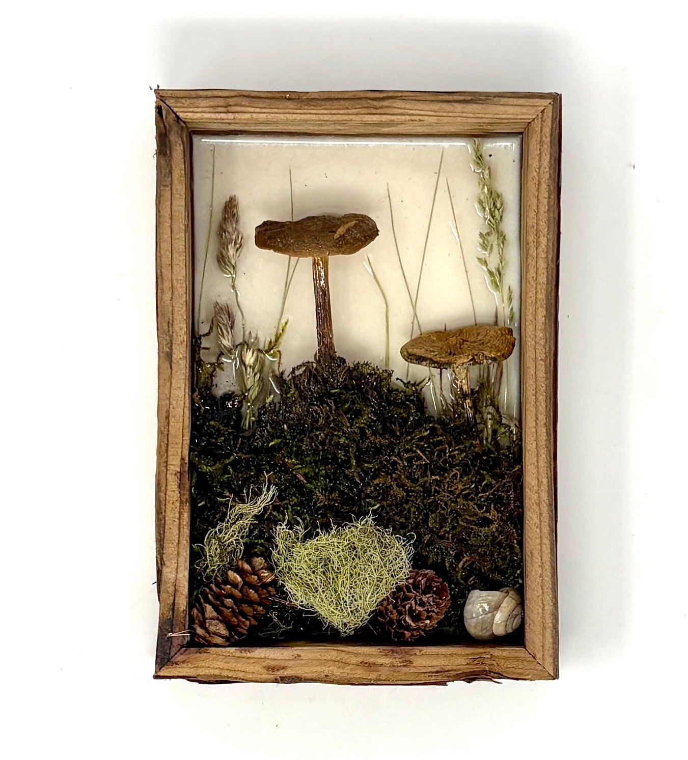 Julianna Lovasz: Mini Mushroom Frames