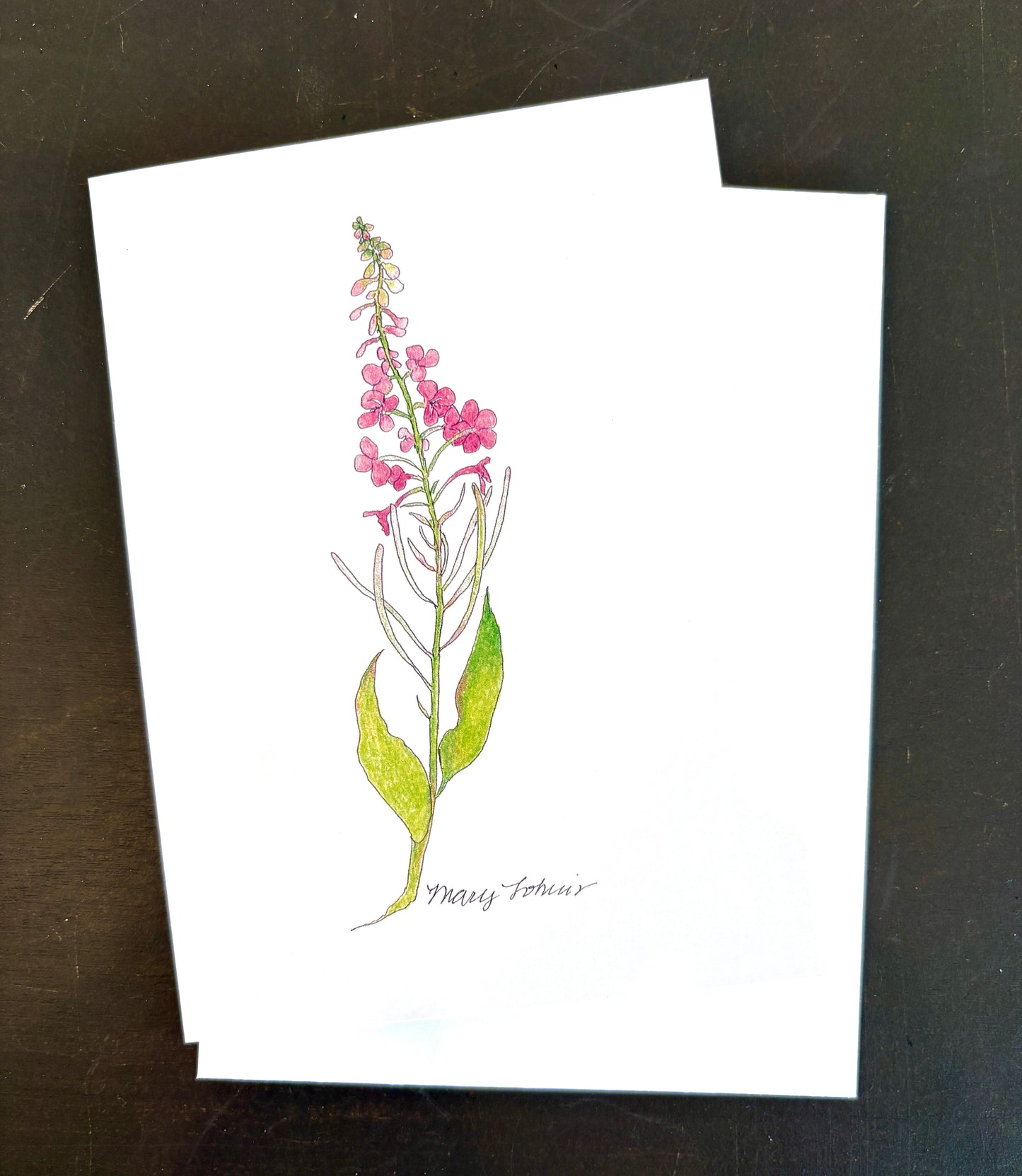 Mary Lohuis: Fireweed Single Card