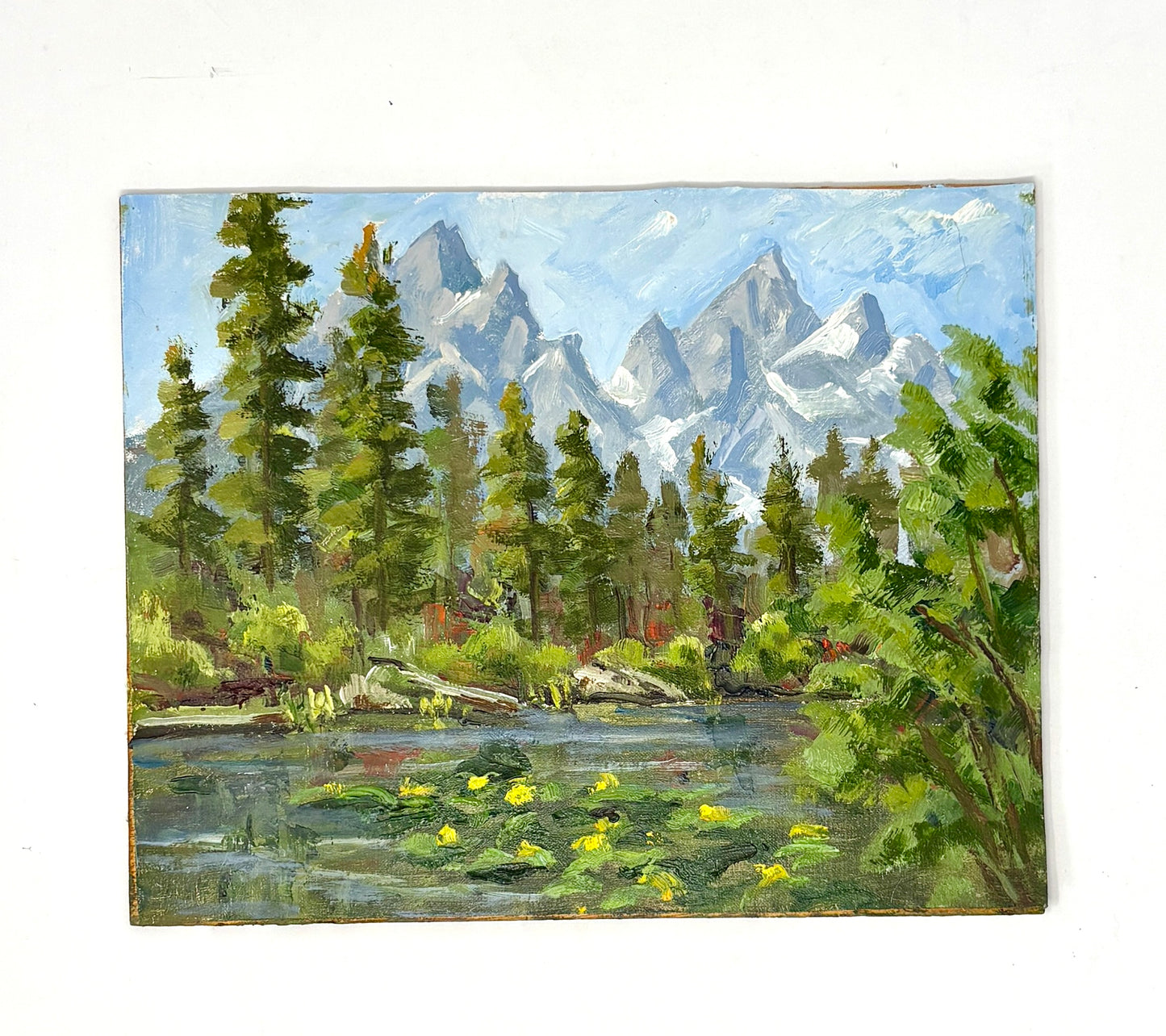 Dee Parker: The Tetons