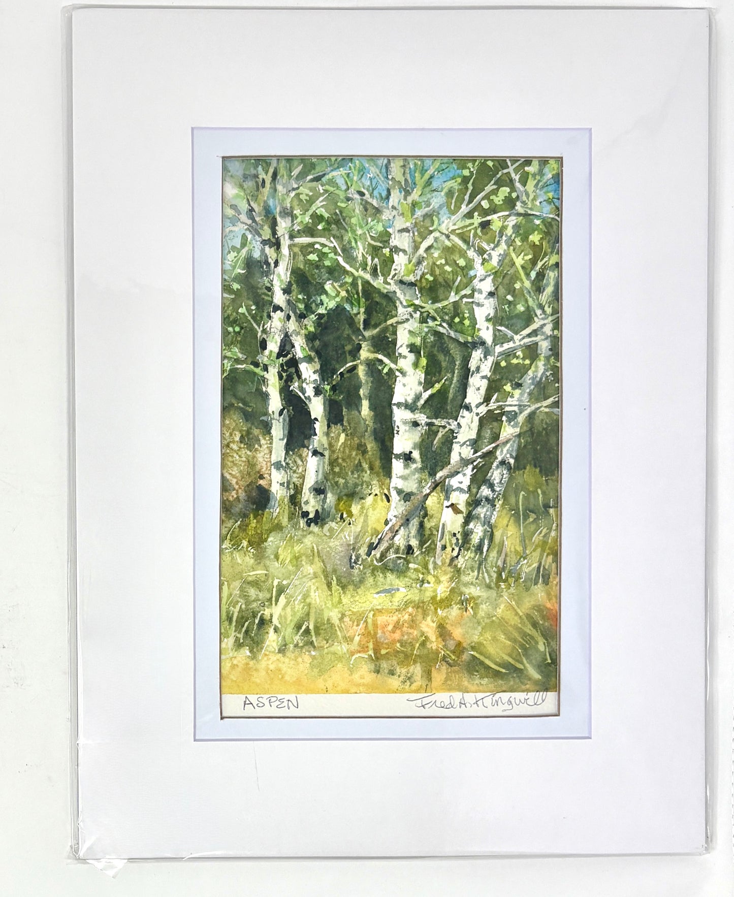 Fred Kingwill: Boulder Aspen
