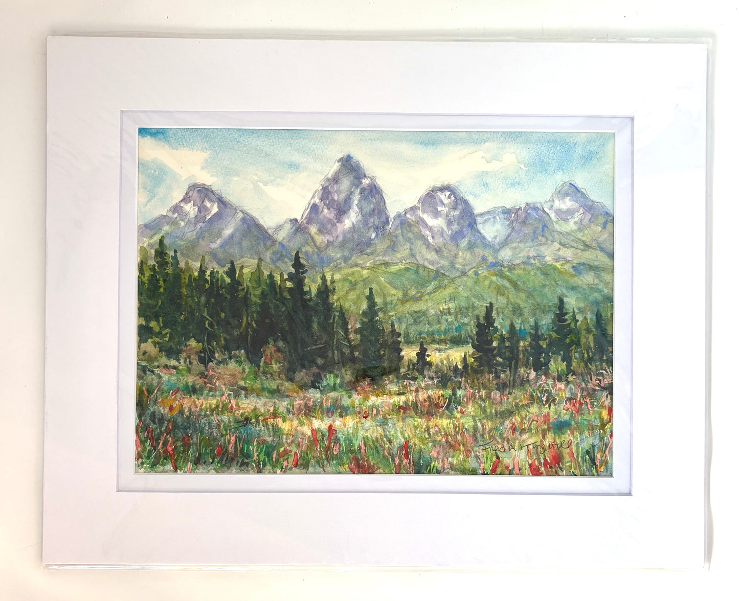 Fred Kingwill: Scarlet Gilia Tetons