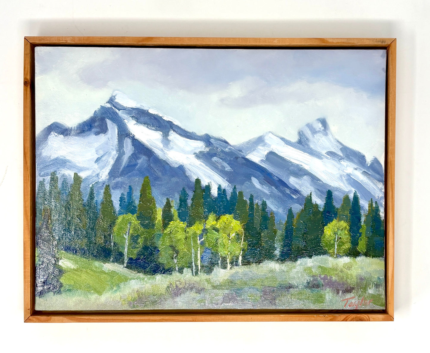 Andy Taylor: Granite Canyon II