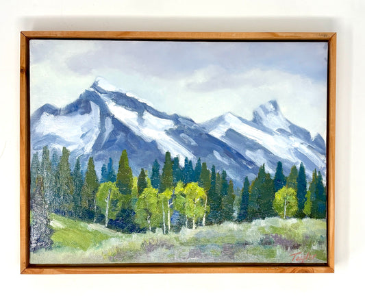 Andy Taylor: Granite Canyon II