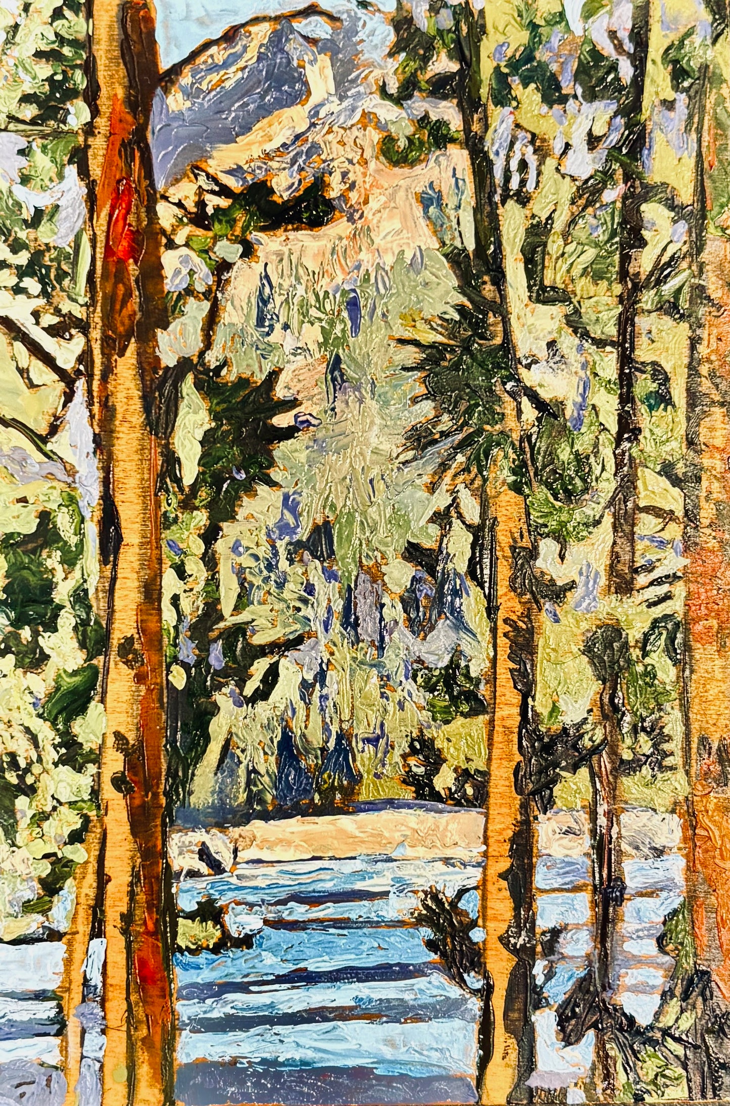 Richard Tambor: String Lake (GTNP)