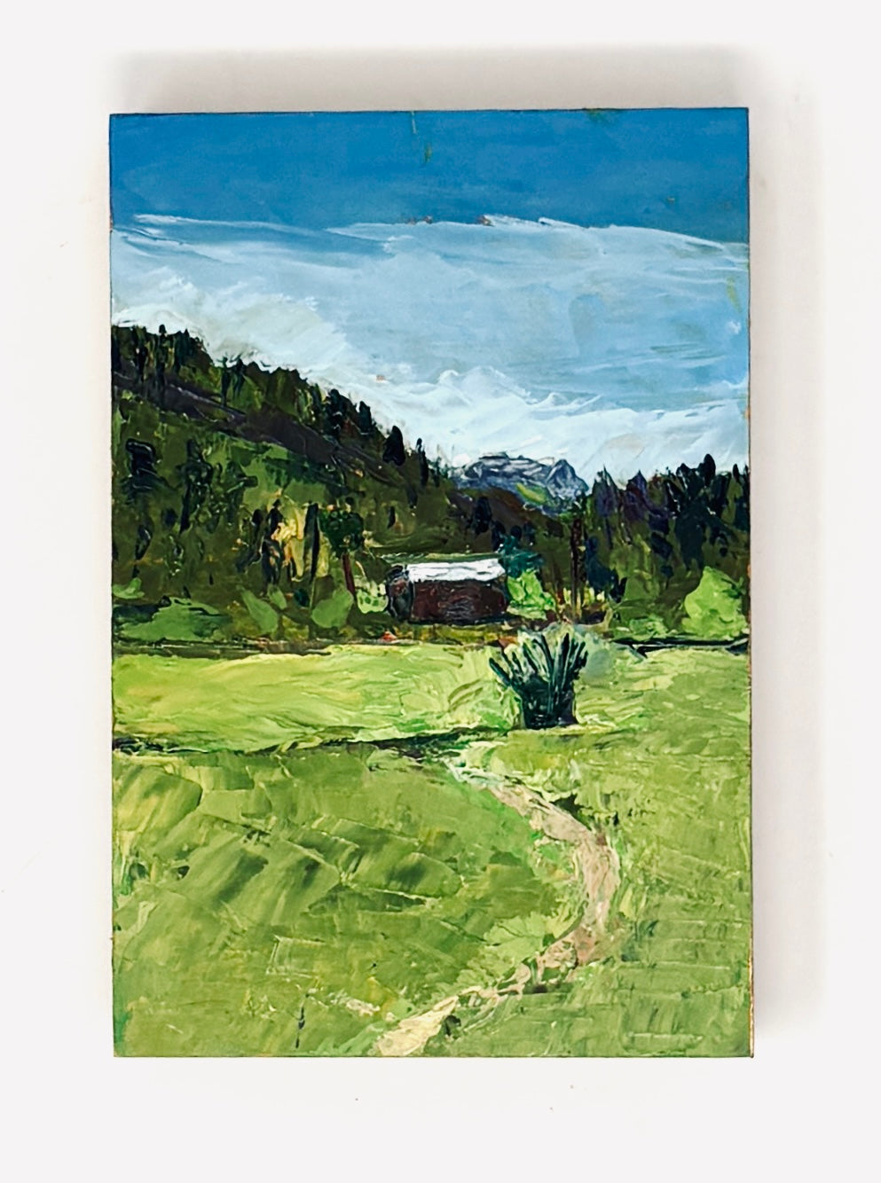 Richard Tambor: Cache Creek Cabin