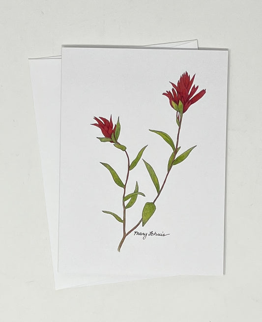 Mary Lohuis: Two Flower Indian Paintbrush Single Card