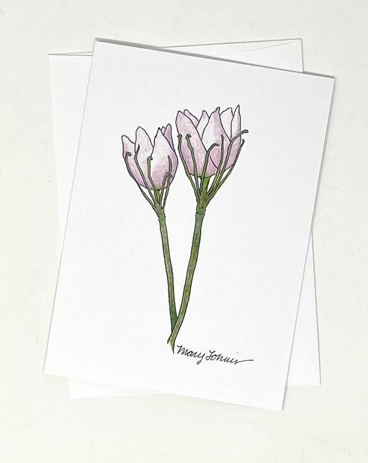 Mary Lohuis: Pasque Flower Single Card