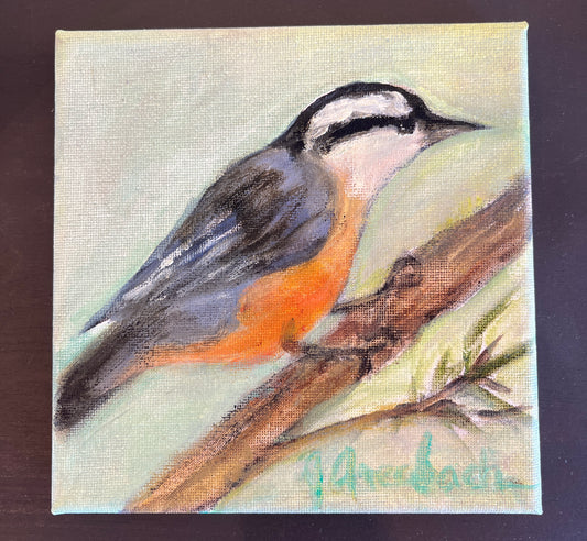 Jill Auerbach: Red Breasted Nuthatch
