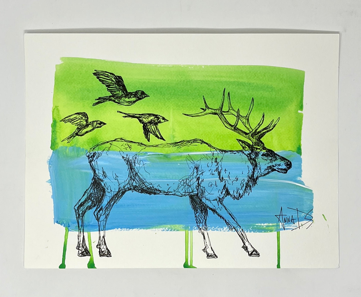 Anna Douglas: Magpies and Moose