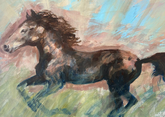 Anna Douglas Smith: Wild and Free