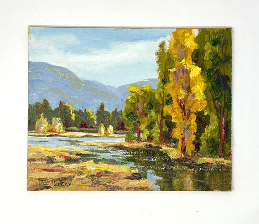 Dee Parker: Snake River