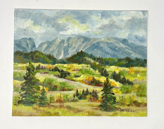 Dee Parker: Bridger Wilderness