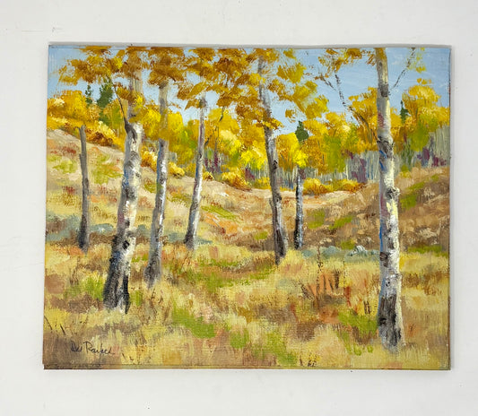 Dee Parker: Up Shadow Mountain