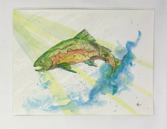 Steve Ehrlich: Trout Watercolors