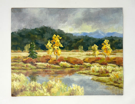 Dee Parker: Buffalo River