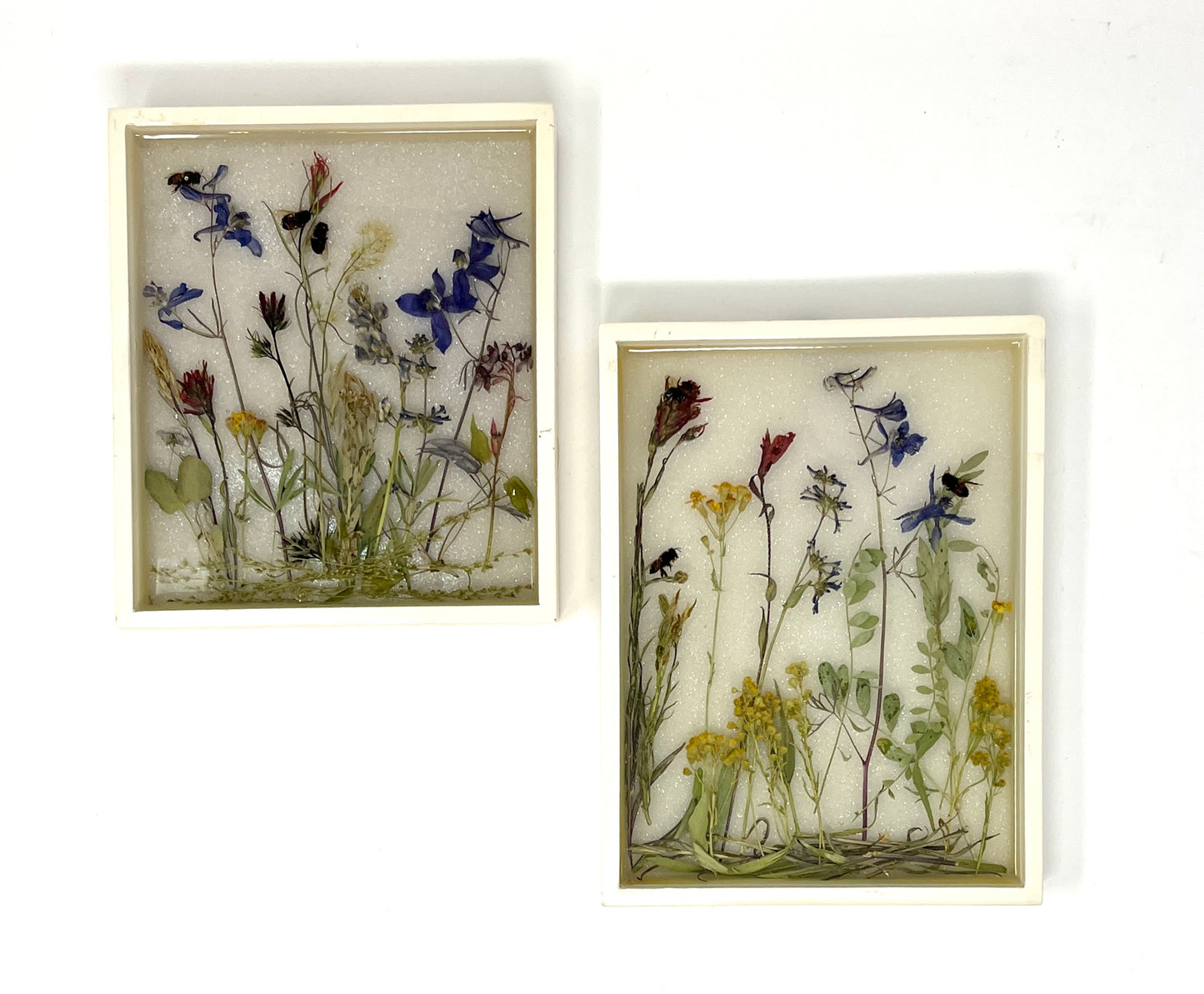 Julianna Lovasz: Small Flower Frame