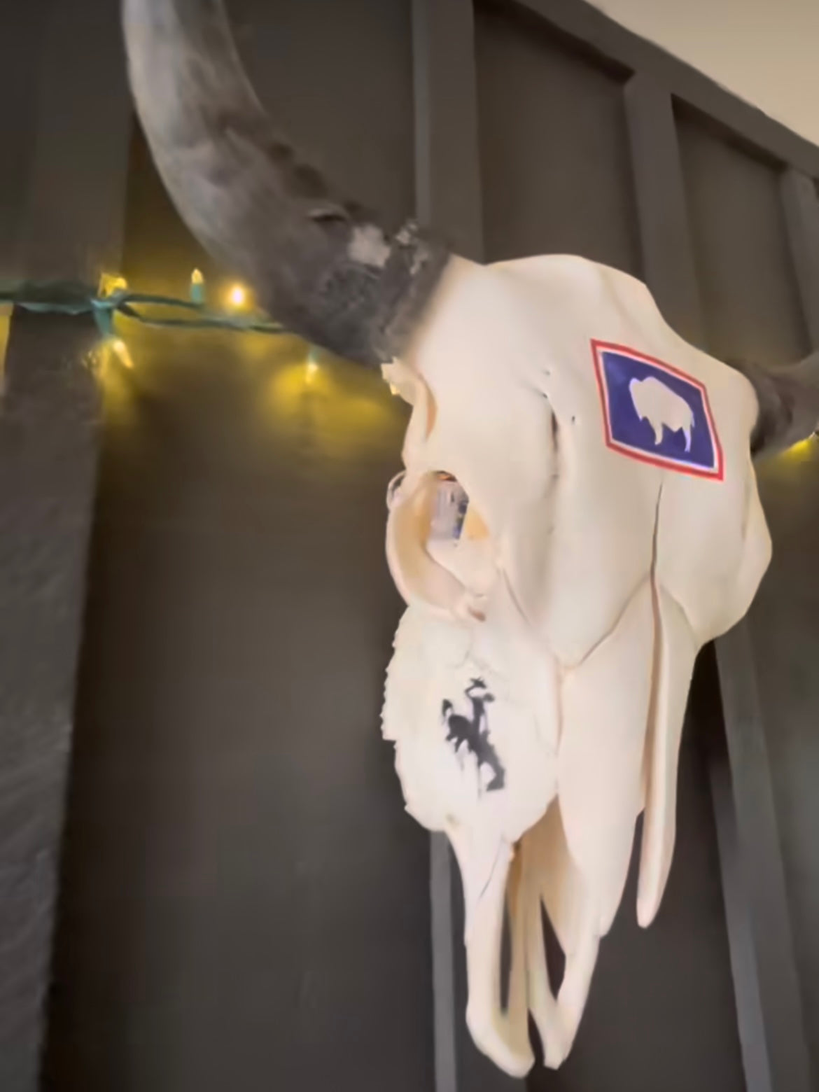 Lyndsay Rowan: Wyoming Bison Skull