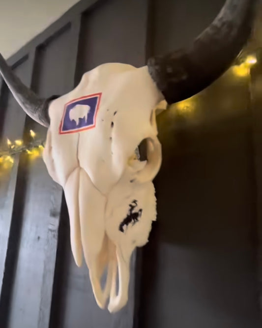 Lyndsay Rowan: Wyoming Bison Skull