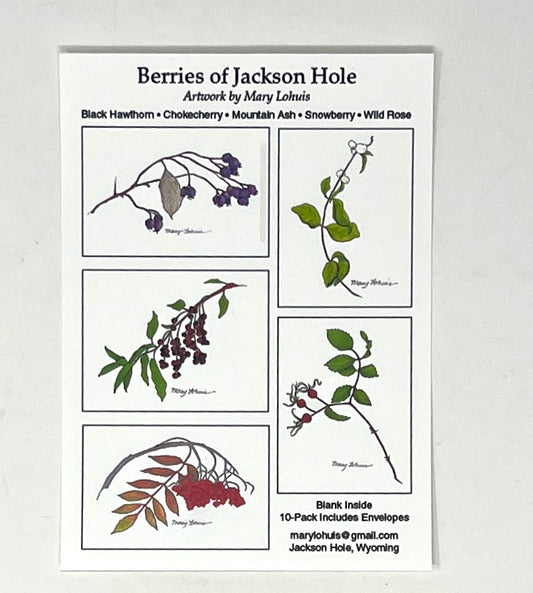 Mary Lohuis: Berries of Jackson Hole (Large Set)