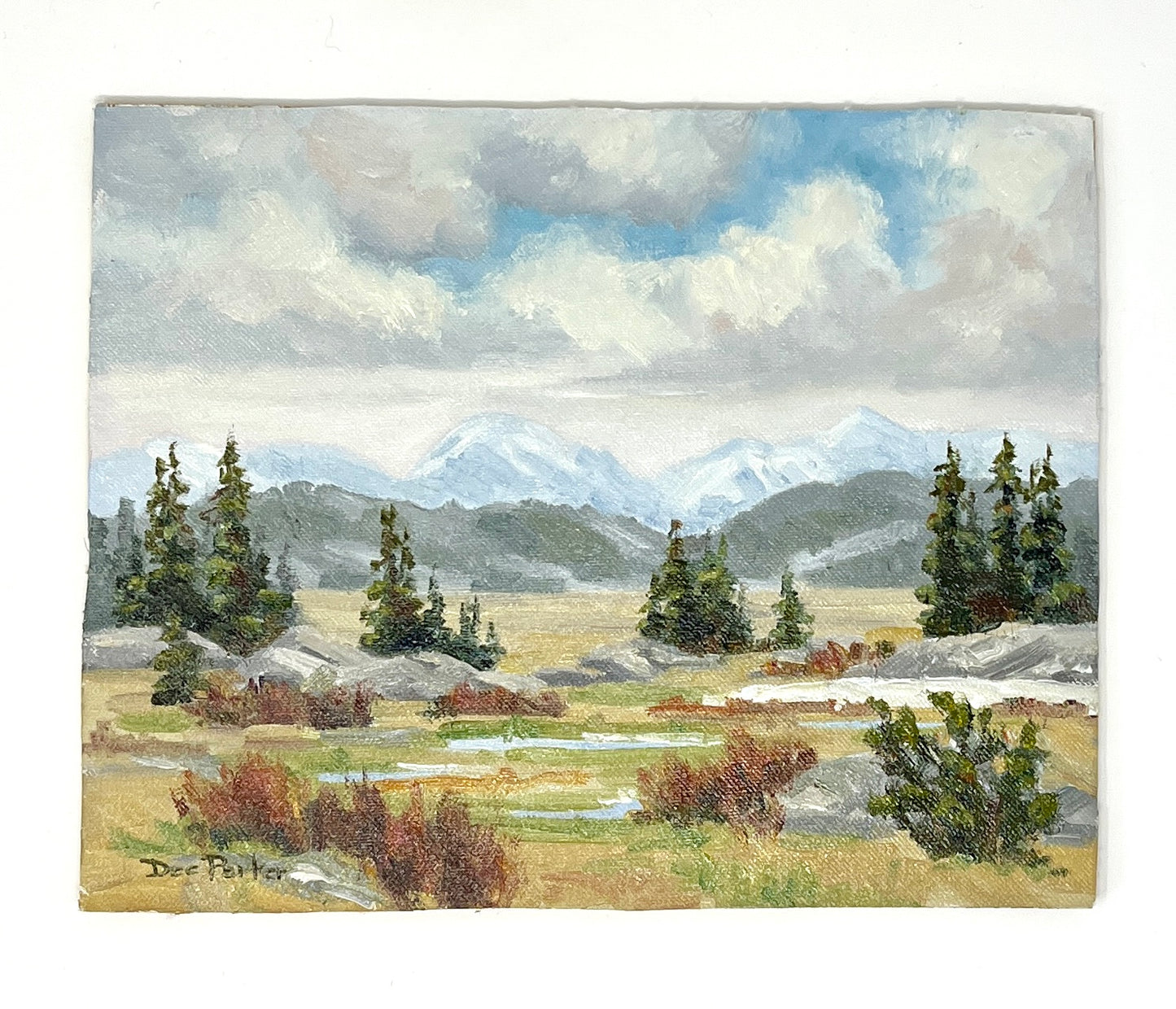 Dee Parker: Beartooth Pass