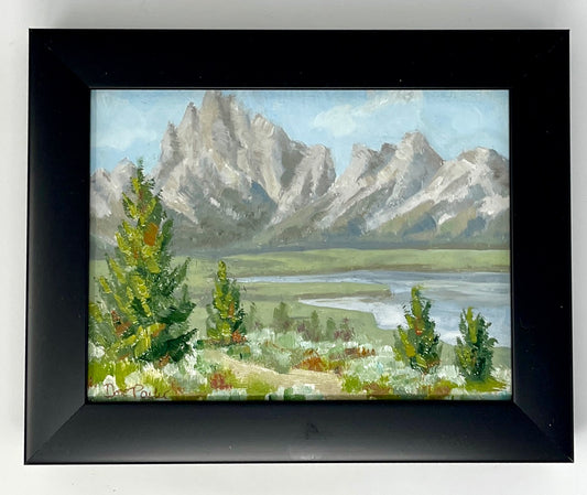 Dee Parker: The Tetons