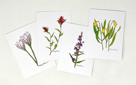 Mary Lohuis: Jackson Hole Wildflowers Set