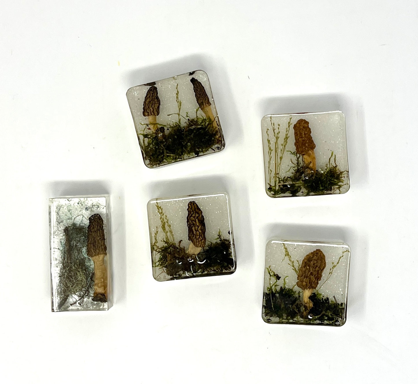 Julianna Lovasz: Medium Morel Mushroom Magnets