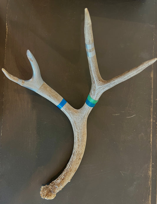 Kevin Rauch-Lynch: Large Mule Deer Antler (Green/Blue)