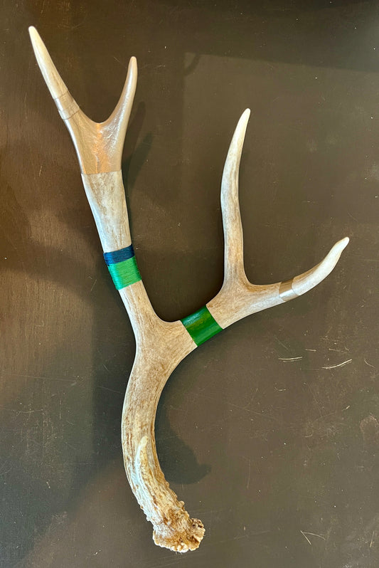 Kevin Rauch-Lynch: Medium Mule Deer Antler (Green / Blue)