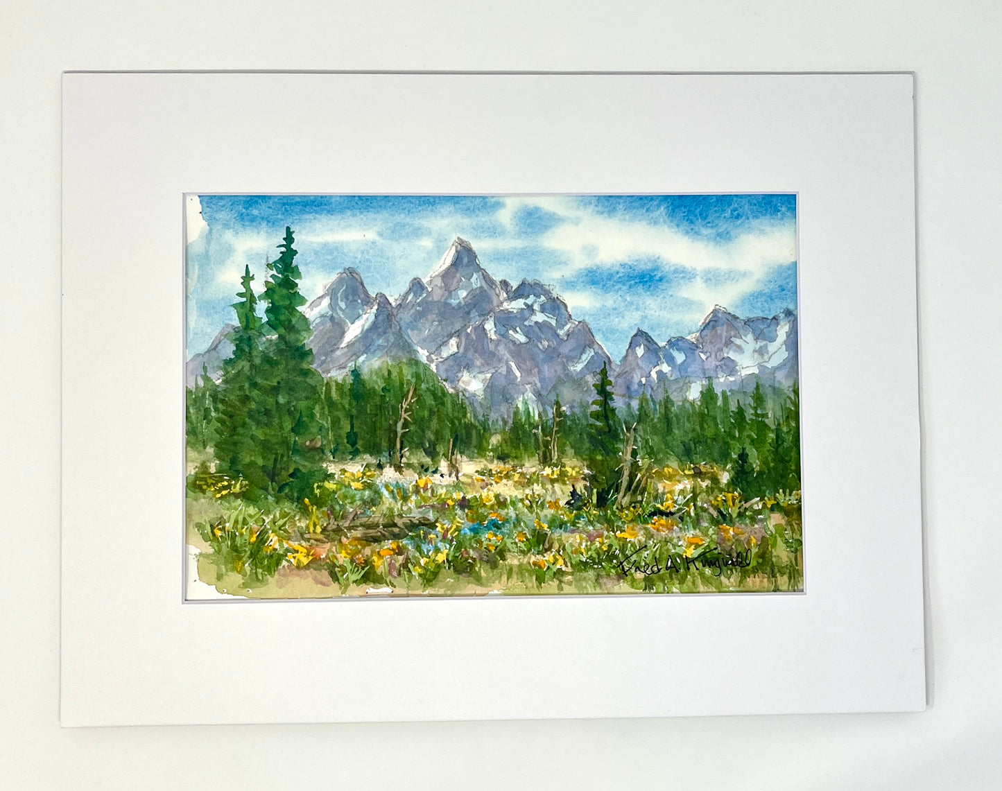 Fred Kingwill: Balsamroot Tetons