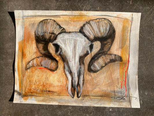 Anna Douglas Smith: Bighorn Sheep Skull