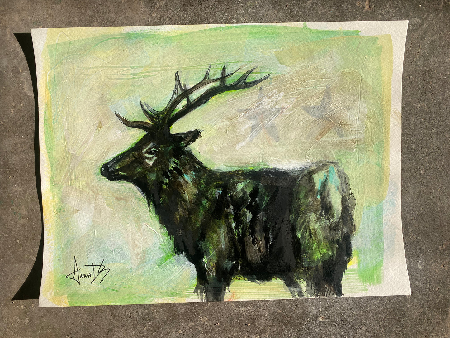 Anna Douglas Smith: Elk