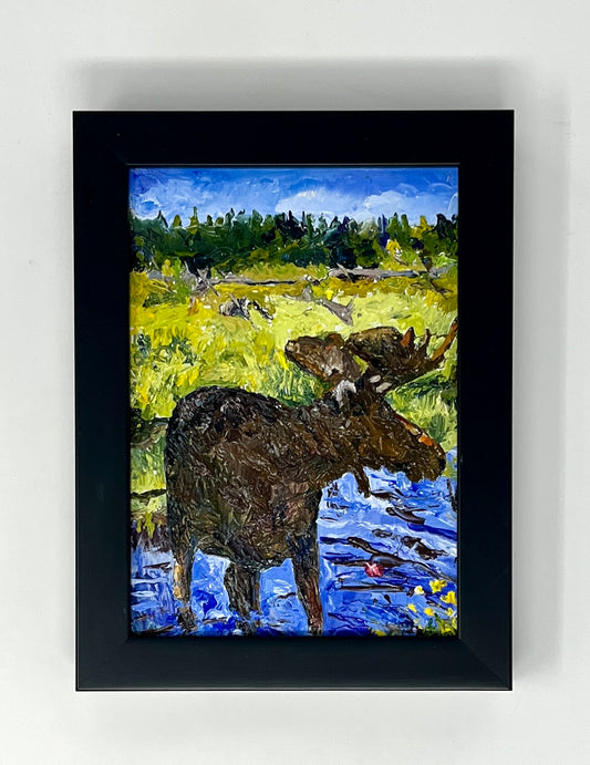 Richard Tambor: Moose Stroll (GTNP)