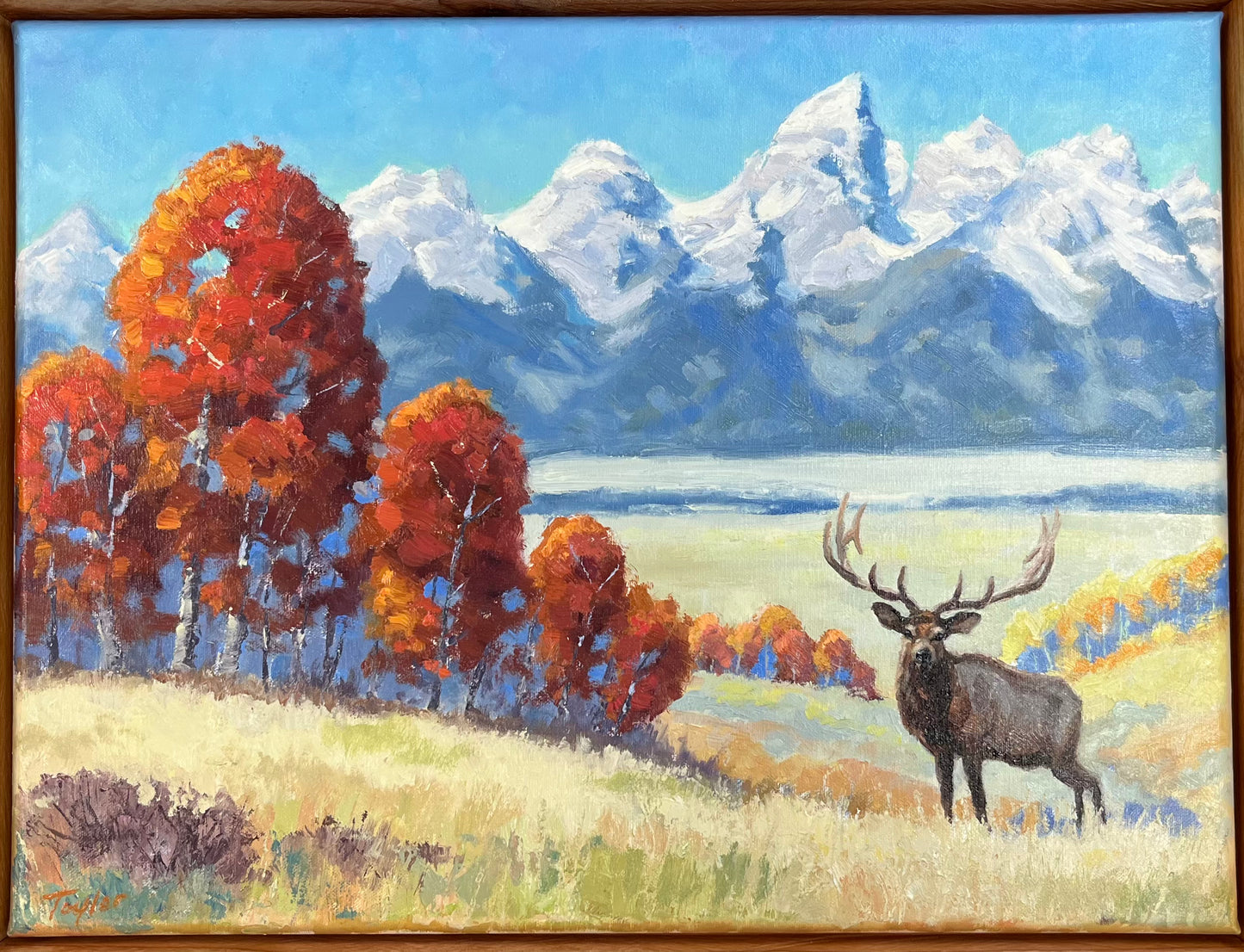 Andy Taylor: Shadow Mountain Encounter