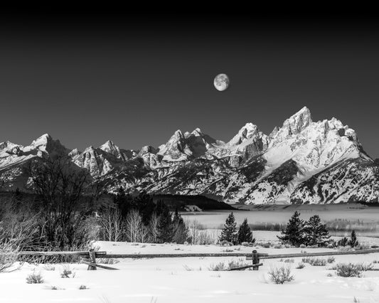 Michael S Cohen: Teton Moonrise