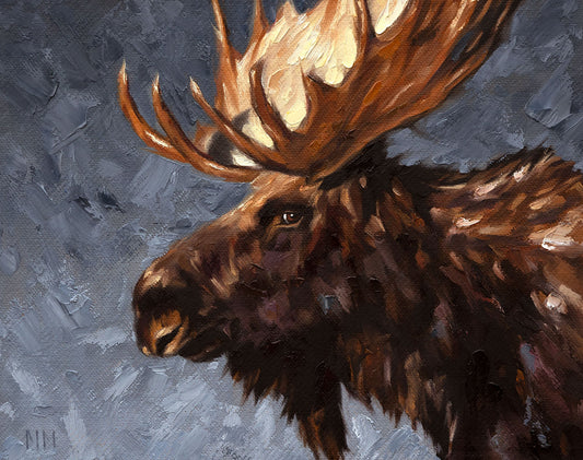 Mitchell McClosky: Moose Portrait (Study)