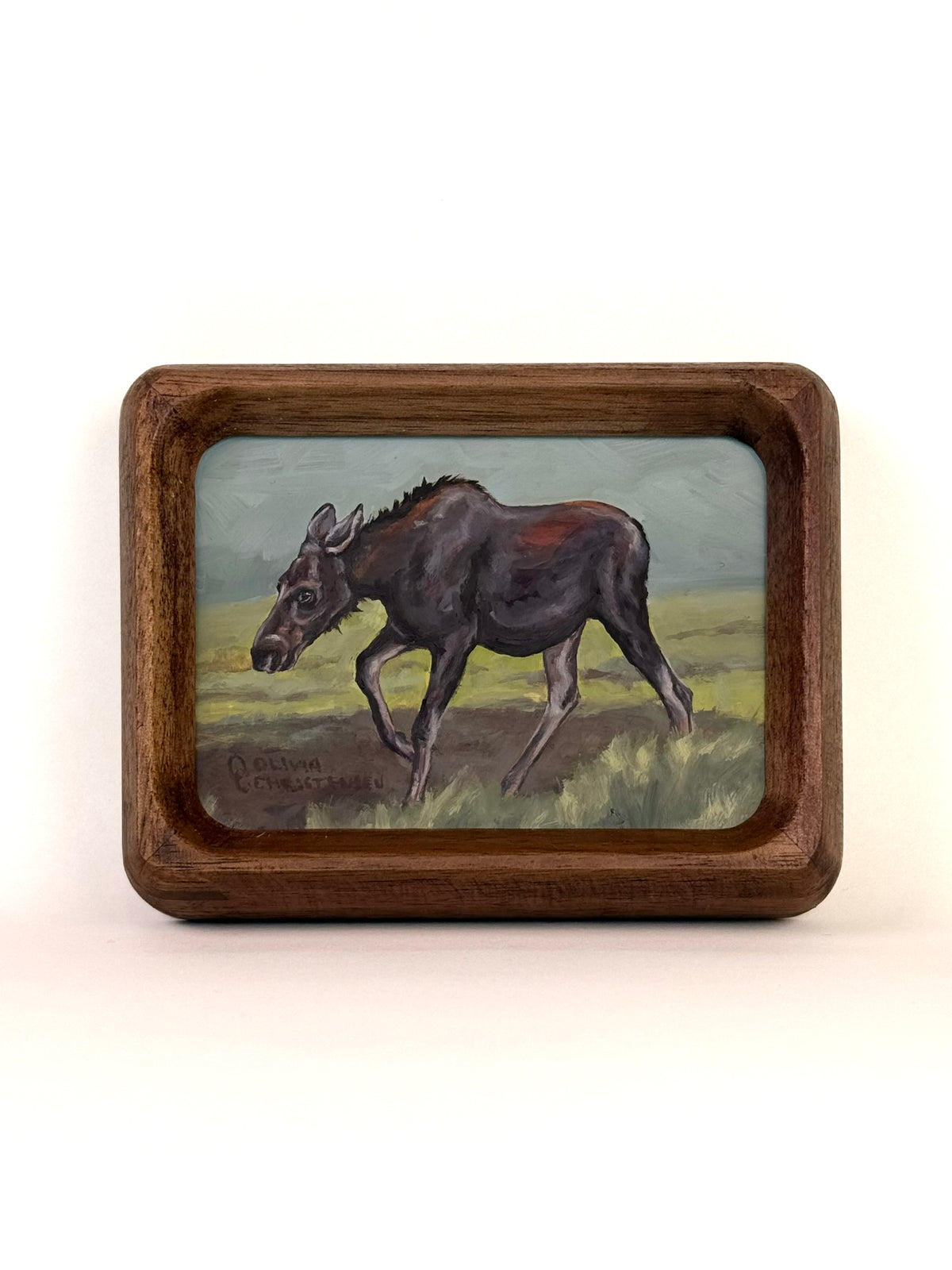 Olivia Christensen: Moose Tracks