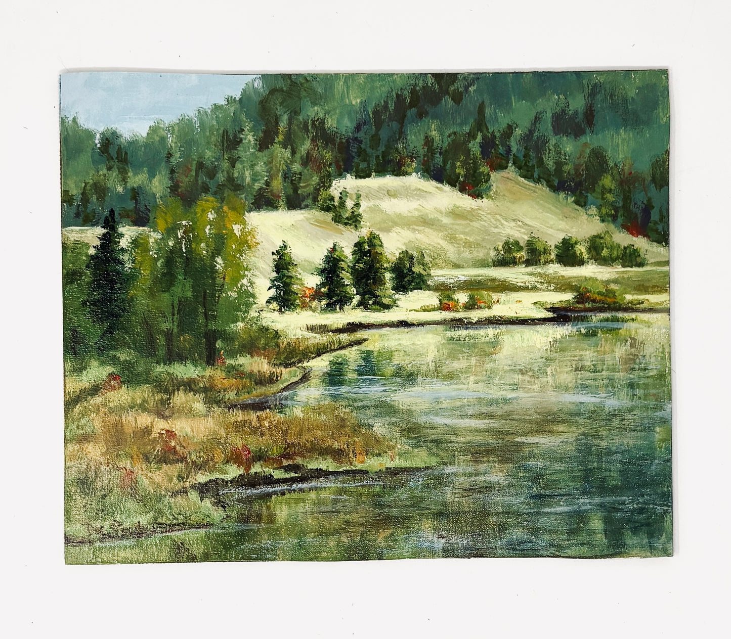 Dee Parker: Oxbow Bend