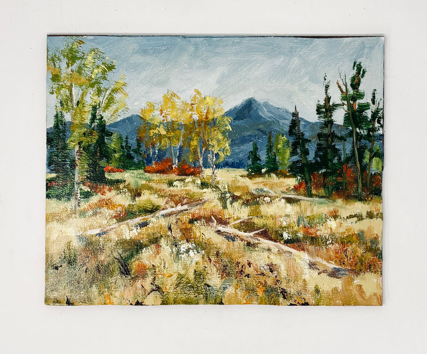 Dee Parker: Saved Color