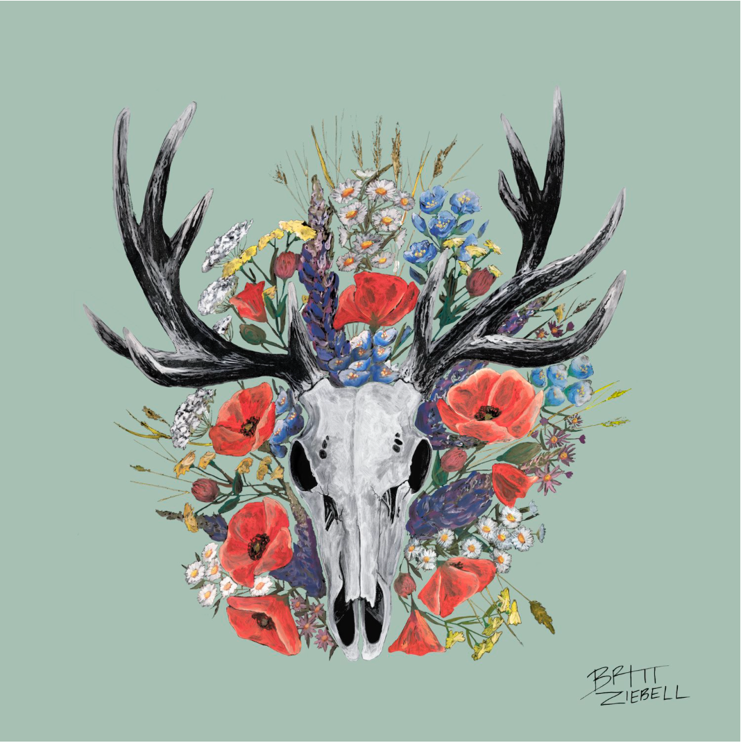 Britt Ziebell: 10 x 10" Elk Skull Print