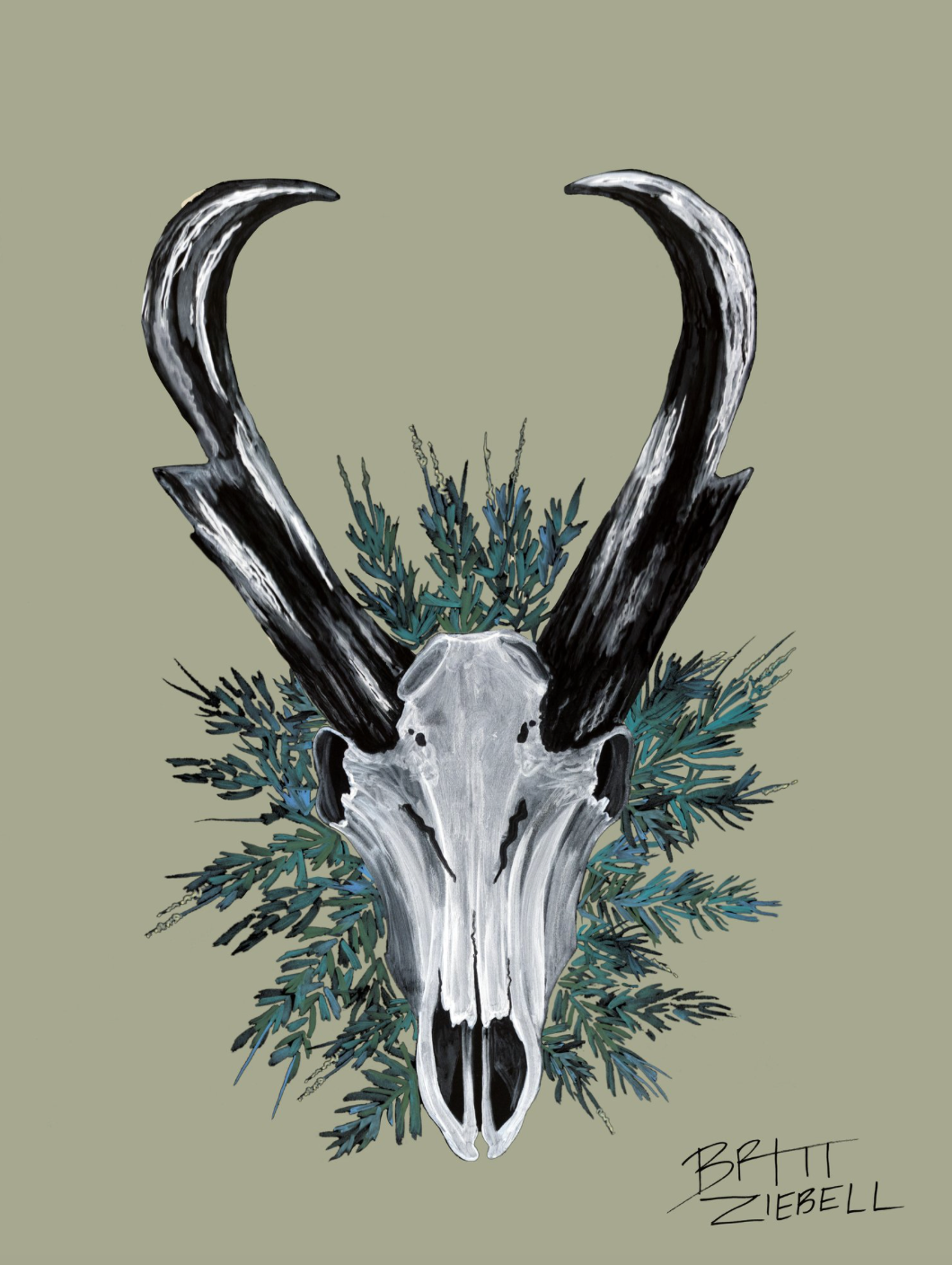 Britt Ziebell: 10 x 8" Pronghorn Skull Prints