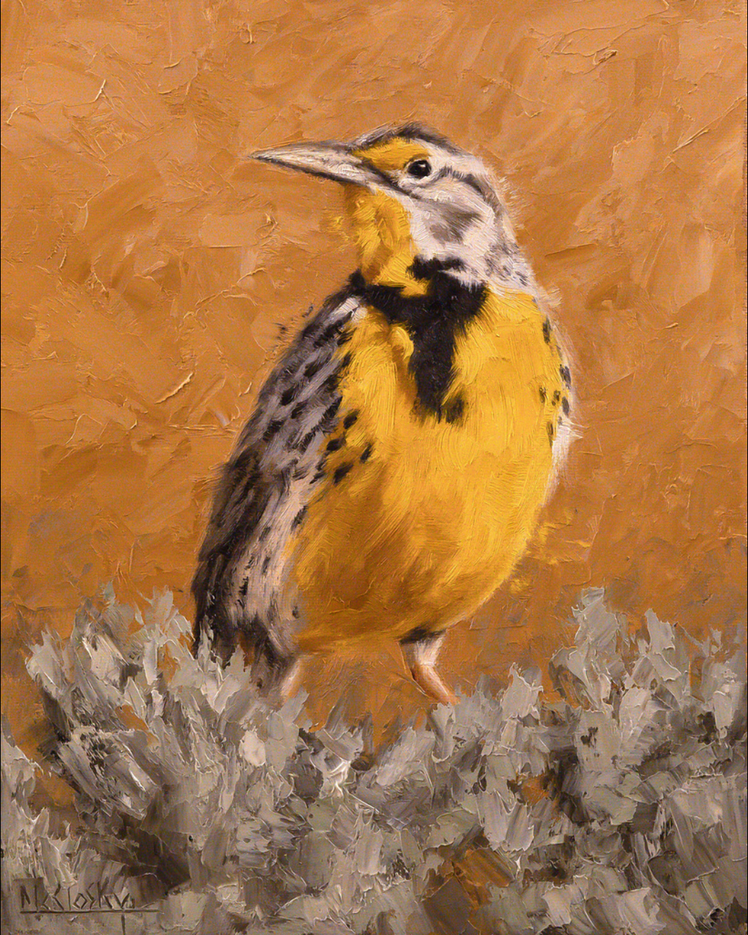 Mitchell McClosky: Western Meadowlark