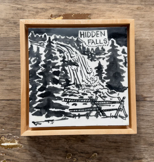 Bird & Buffalo: Hidden Falls