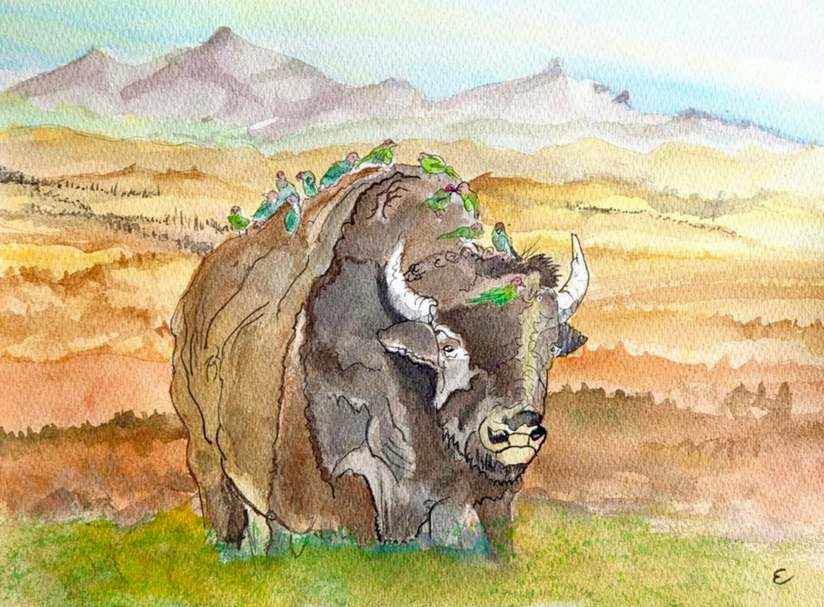 Steve Ehrlich: Bison / Tetons Watercolors