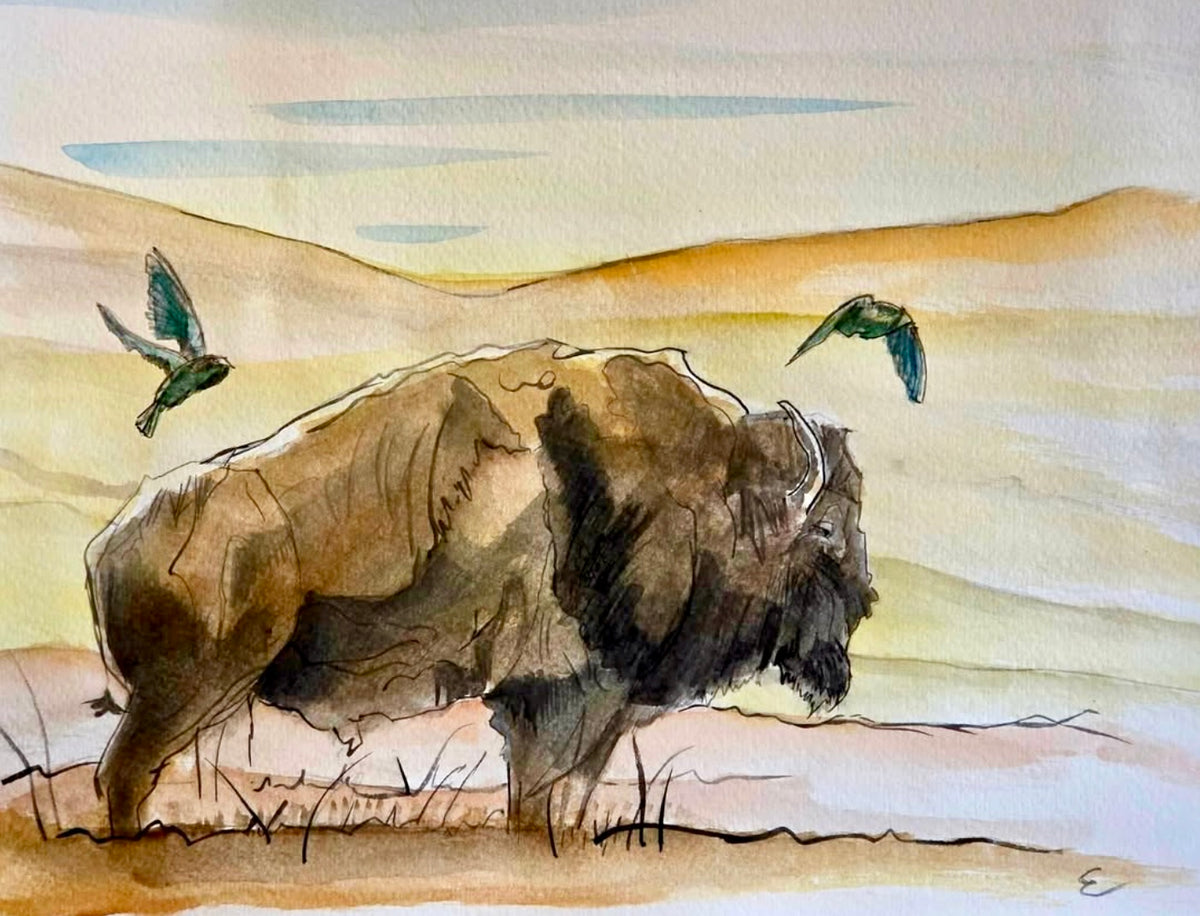 Steve Ehrlich: Bison / Tetons Watercolors
