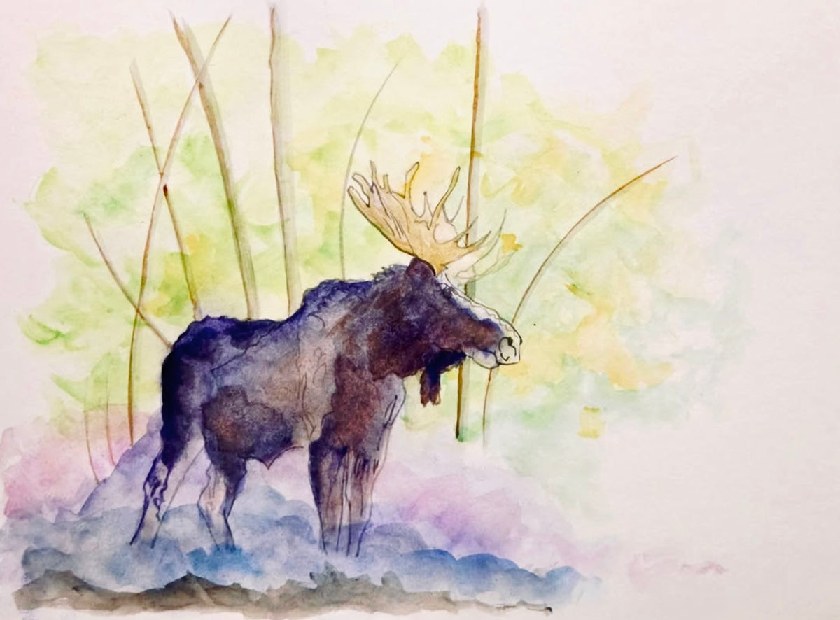 Steve Ehrlich: Moose Watercolors