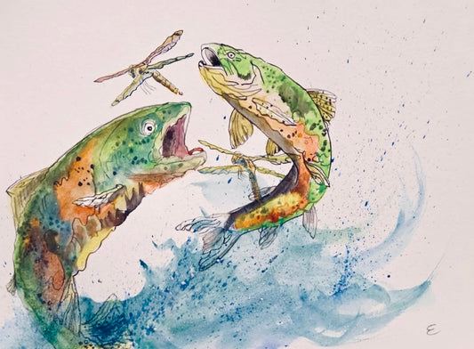 Steve Ehrlich: Trout Watercolors