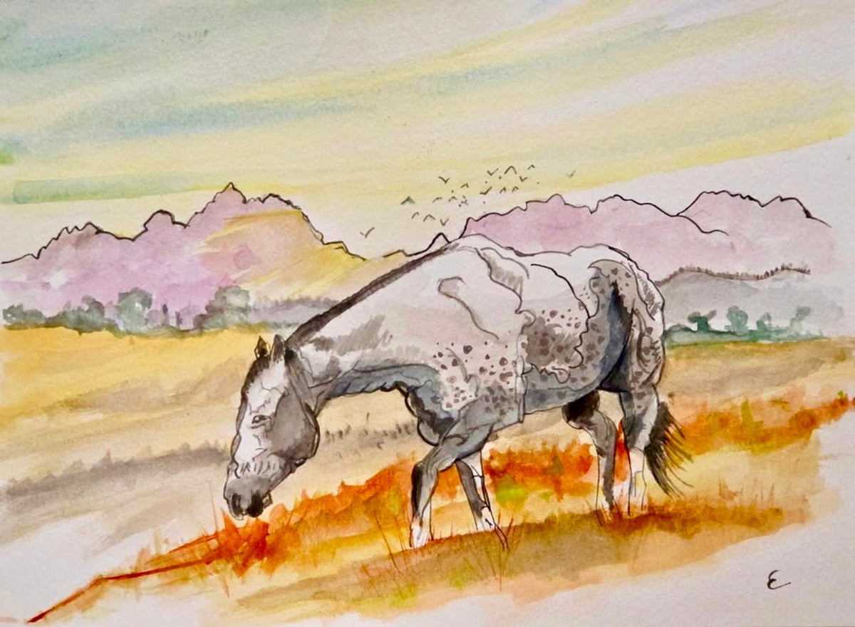 Steve Ehrlich: Horse Watercolors