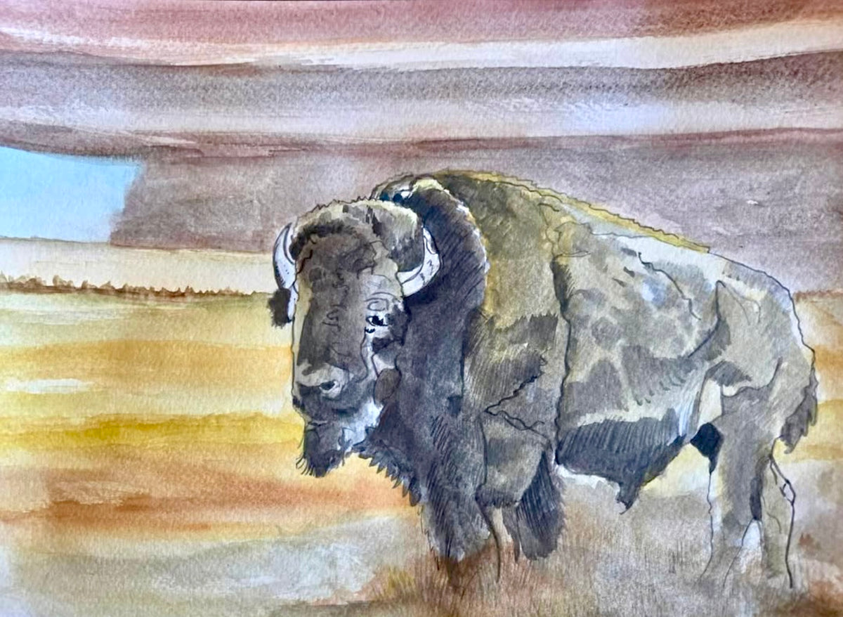 Steve Ehrlich: Bison / Tetons Watercolors