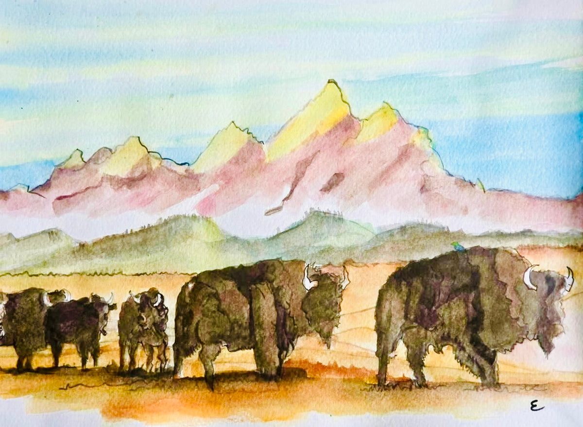 Steve Ehrlich: Bison / Tetons Watercolors